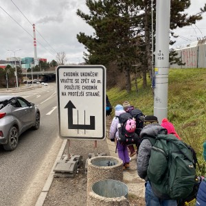 Kocouří, Sokolí a Pandí výprava do Šlapanic