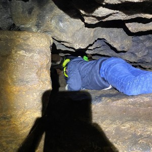 Kocouří, Sokolí a Pandí výprava do Šlapanic
