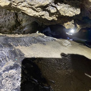 Kocouří, Sokolí a Pandí výprava do Šlapanic