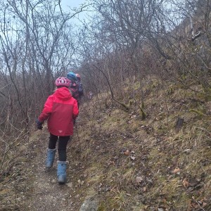 Kocouří, Sokolí a Pandí výprava do Šlapanic