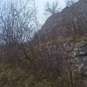 Kocouří, Sokolí a Pandí výprava do Šlapanic