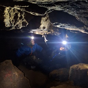 Kocouří, Sokolí a Pandí výprava do Šlapanic