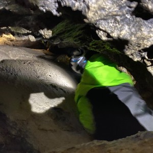 Kocouří, Sokolí a Pandí výprava do Šlapanic