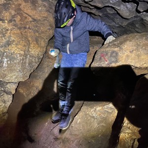 Kocouří, Sokolí a Pandí výprava do Šlapanic