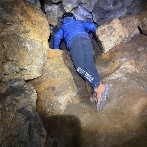 Kocouří, Sokolí a Pandí výprava do Šlapanic
