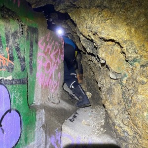 Kocouří, Sokolí a Pandí výprava do Šlapanic