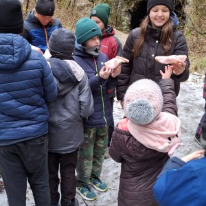 Kocouří, Sokolí a Pandí výprava do Šlapanic