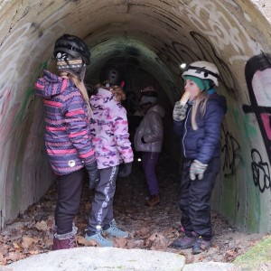 Kocouří, Sokolí a Pandí výprava do Šlapanic