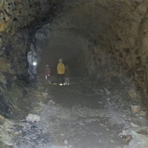Kocouří, Sokolí a Pandí výprava do Šlapanic