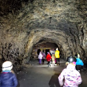 Kocouří, Sokolí a Pandí výprava do Šlapanic