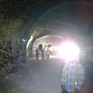 Kocouří, Sokolí a Pandí výprava do Šlapanic