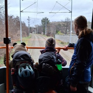 Kocouří, Sokolí a Pandí výprava do Šlapanic