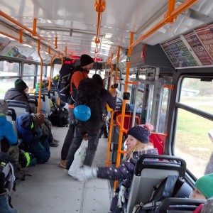 Kocouří, Sokolí a Pandí výprava do Šlapanic