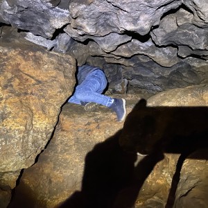 Kocouří, Sokolí a Pandí výprava do Šlapanic