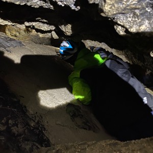 Kocouří, Sokolí a Pandí výprava do Šlapanic