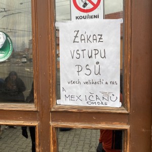 Kocouří, Sokolí a Pandí výprava do Šlapanic