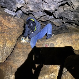 Kocouří, Sokolí a Pandí výprava do Šlapanic