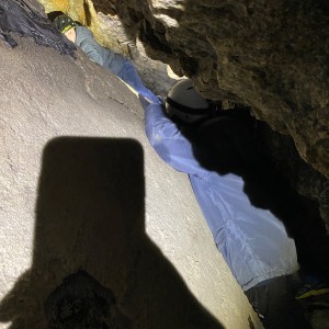 Kocouří, Sokolí a Pandí výprava do Šlapanic