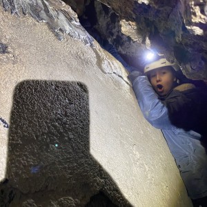 Kocouří, Sokolí a Pandí výprava do Šlapanic