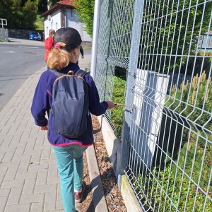 Nový Jičín - Pando-Sokolí výprava