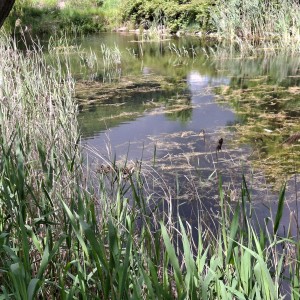 Nový Jičín - Pando-Sokolí výprava