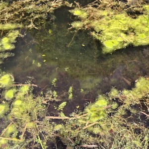 Nový Jičín - Pando-Sokolí výprava