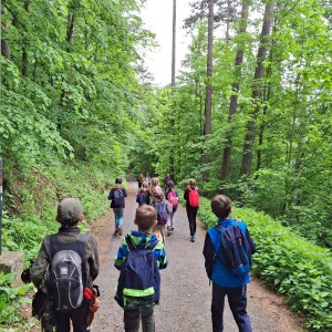 Nový Jičín - Pando-Sokolí výprava