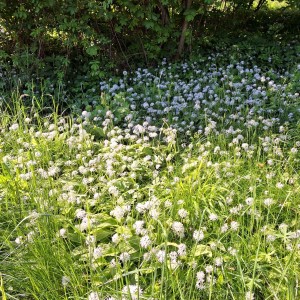 Nový Jičín - Pando-Sokolí výprava