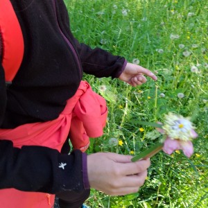 Nový Jičín - Pando-Sokolí výprava