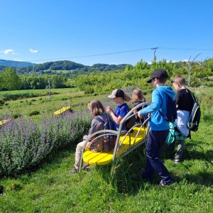 Nový Jičín - Pando-Sokolí výprava