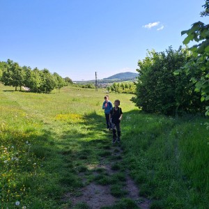 Nový Jičín - Pando-Sokolí výprava