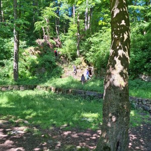 Nový Jičín - Pando-Sokolí výprava