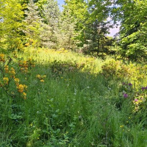 Nový Jičín - Pando-Sokolí výprava