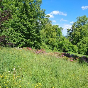 Nový Jičín - Pando-Sokolí výprava