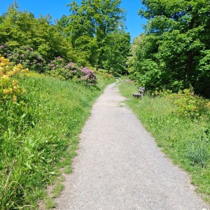 Nový Jičín - Pando-Sokolí výprava