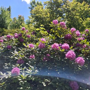 Nový Jičín - Pando-Sokolí výprava