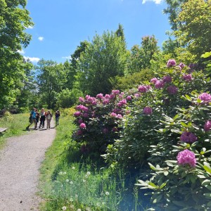 Nový Jičín - Pando-Sokolí výprava