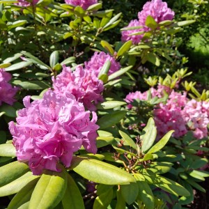 Nový Jičín - Pando-Sokolí výprava