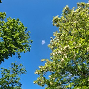 Nový Jičín - Pando-Sokolí výprava