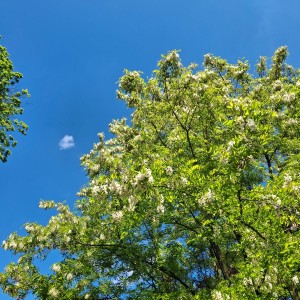 Nový Jičín - Pando-Sokolí výprava