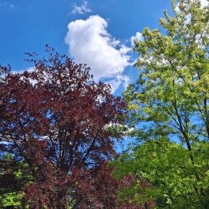 Nový Jičín - Pando-Sokolí výprava