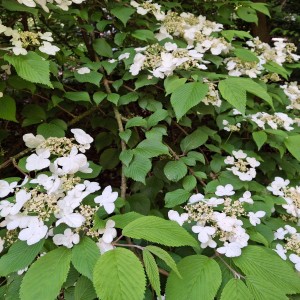 Nový Jičín - Pando-Sokolí výprava