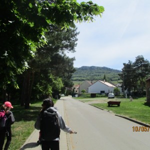 Výprava Vážek na Pálavu