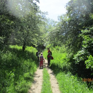 Výprava Vážek na Pálavu