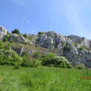 Výprava Vážek na Pálavu