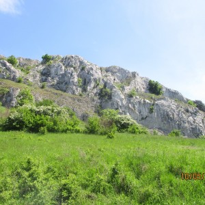 Výprava Vážek na Pálavu