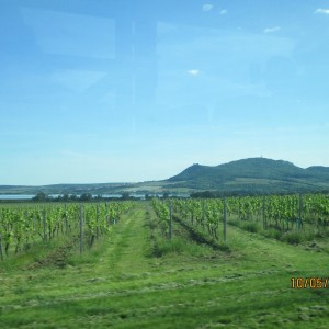 Výprava Vážek na Pálavu