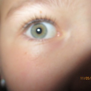 Výprava Vážek na Pálavu