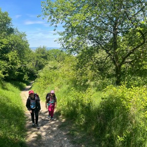 Výprava Vážek na Pálavu