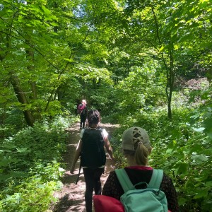 Výprava Vážek na Pálavu